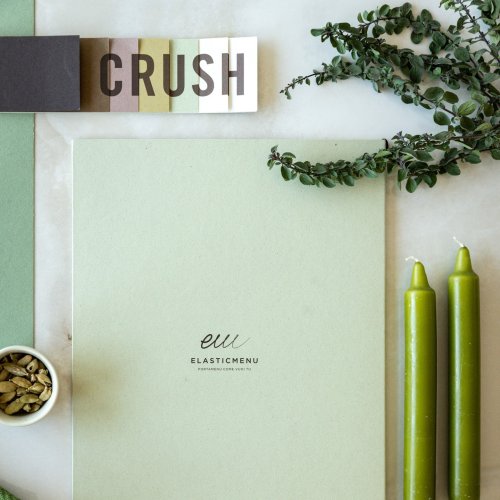 Photo post from elasticmenu.