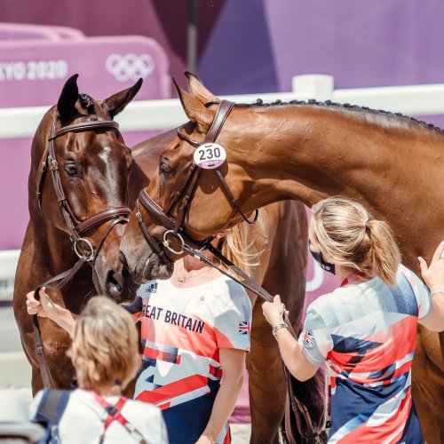 Photo post from fei_global.