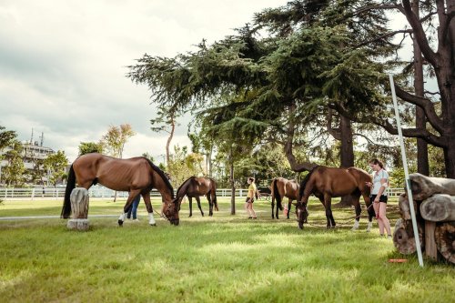 Carousel post from fei_global.