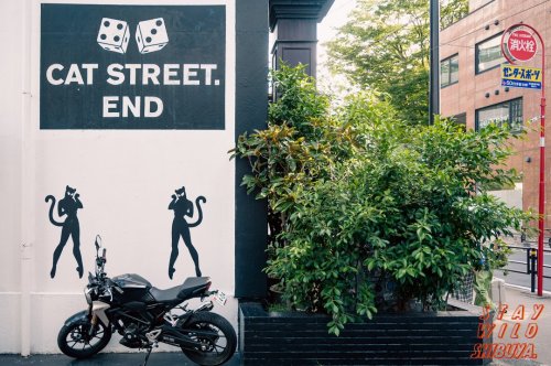 Photo post from play_shibuya.