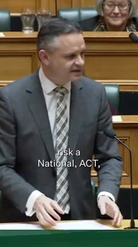 Video post from nzgreenparty.