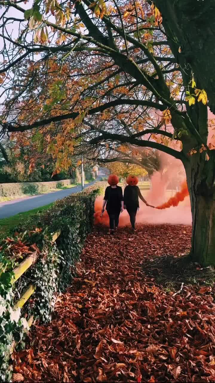 Video post from themoathouse.