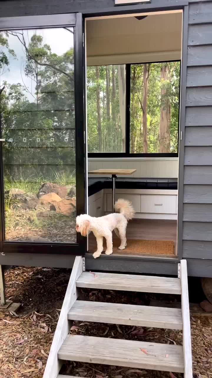 Video post from in2thewild.aus.
