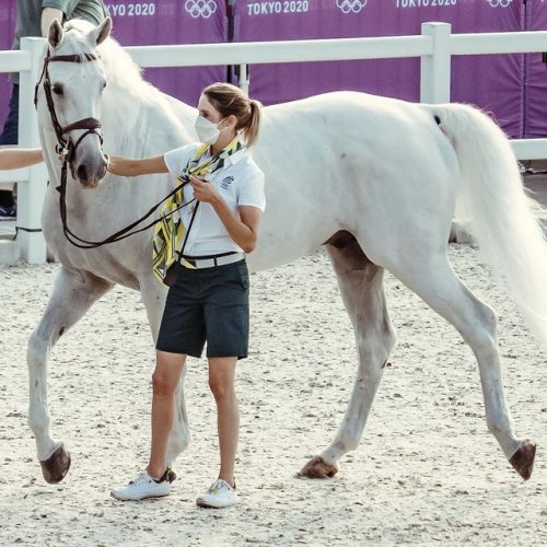 Photo post from fei_global.