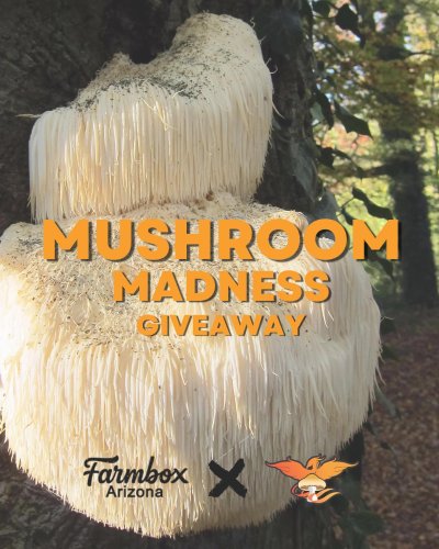 Carousel post from farmbox_arizona.