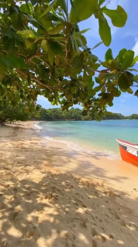 Video post from thingstodoinjamaica.