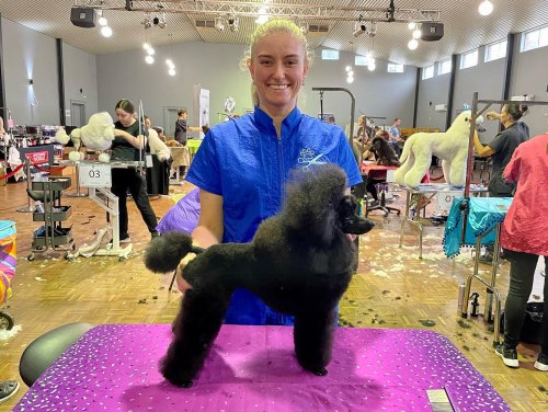 Carousel post from k9playtimedoggydaycare.