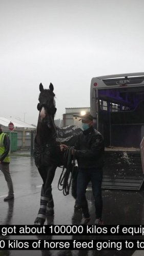 Video post from fei_global.