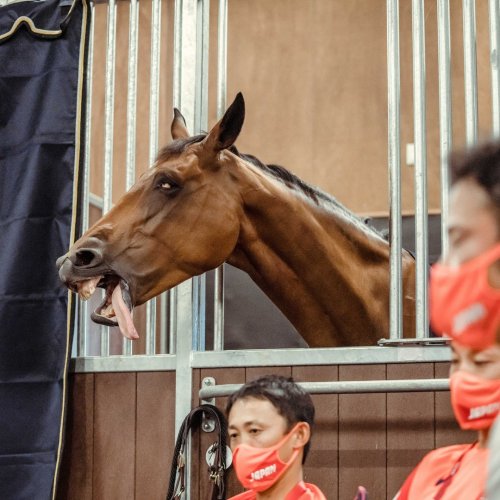 Photo post from fei_global.