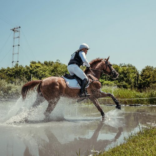 Carousel post from fei_global.