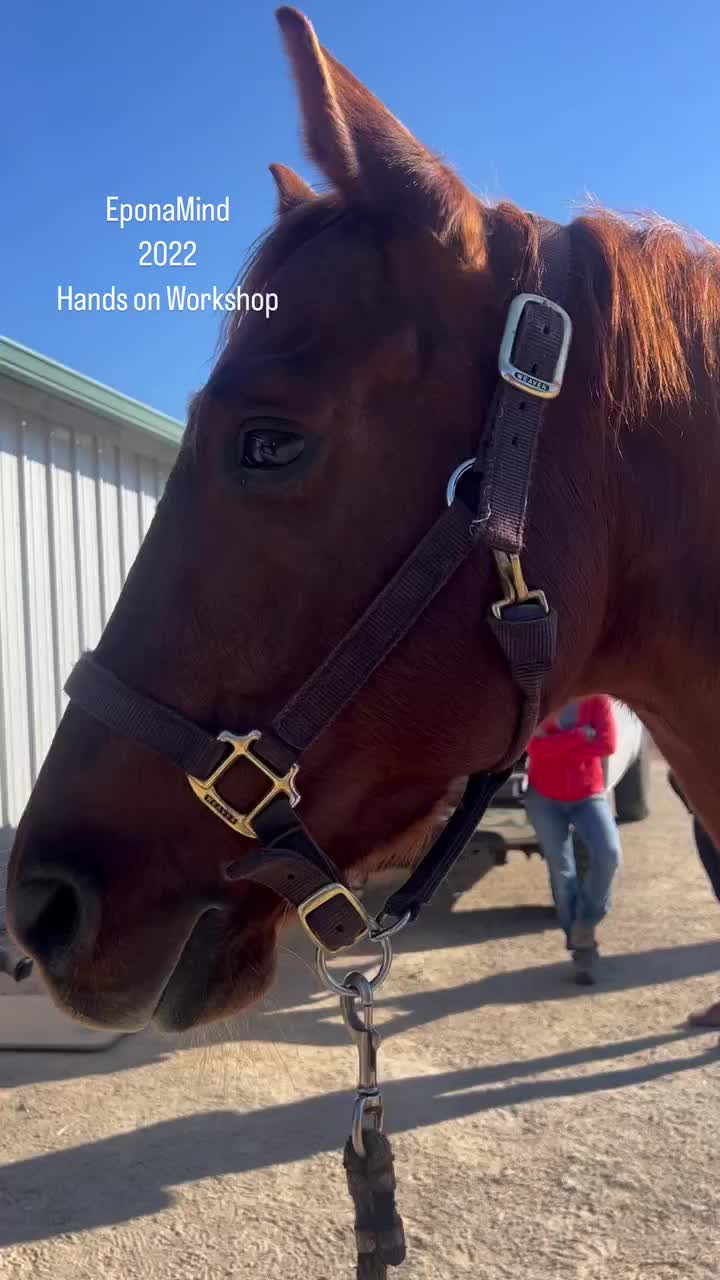 Video post from __amber_lydic__.