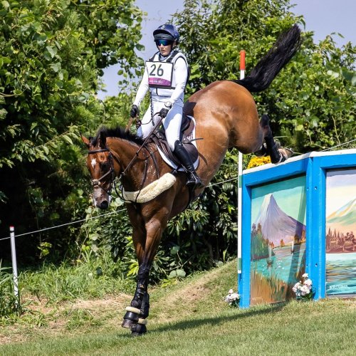 Carousel post from fei_global.