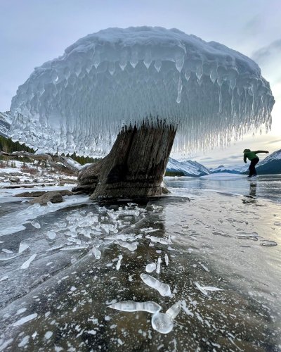 Photo post from icetheatreofny.