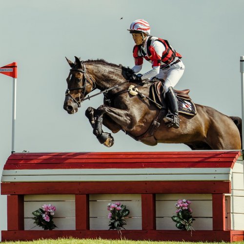 Carousel post from fei_global.