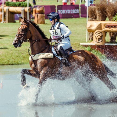 Carousel post from fei_global.