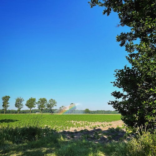 Photo post from visitoirschot.