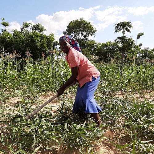 Photo post from unops_official.