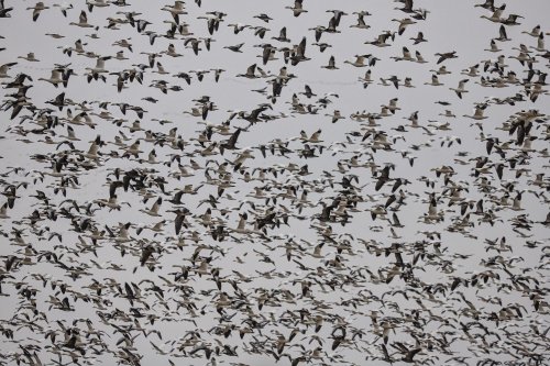 Photo post from northernskiesoutfitters.