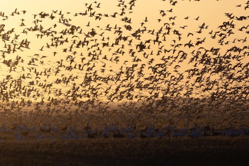 Photo post from northernskiesoutfitters.