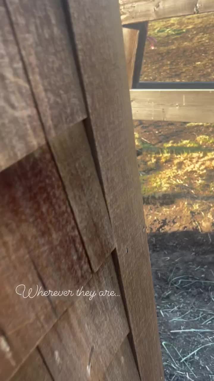 Video post from __amber_lydic__.