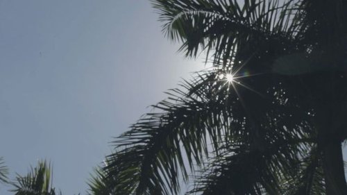 Video post from oti.art.