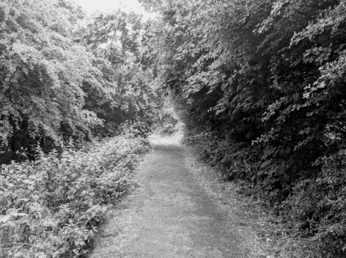 Photo post from kasarstays.