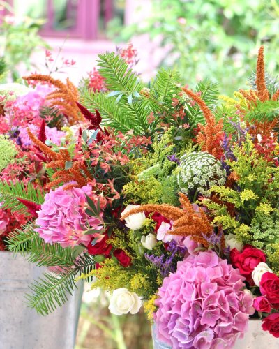 Carousel post from currumbinvalleyharvest.