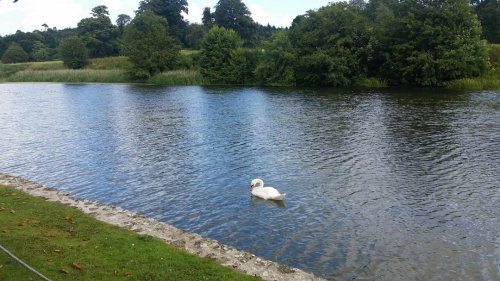 Photo post from kasarstays.