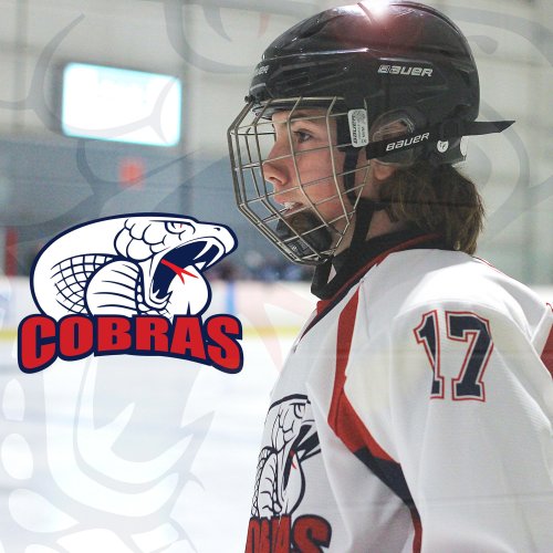 Photo post from orhlhockey.