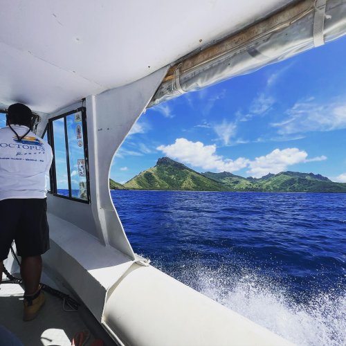 Photo post from octopusresort.