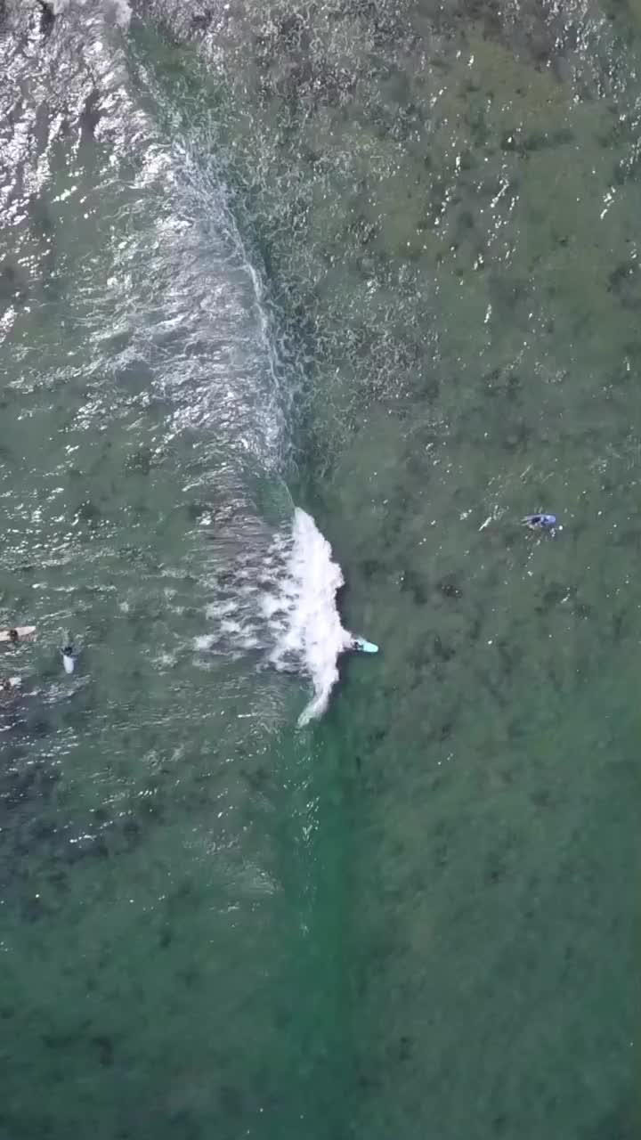 Video post from in2thewild.aus.