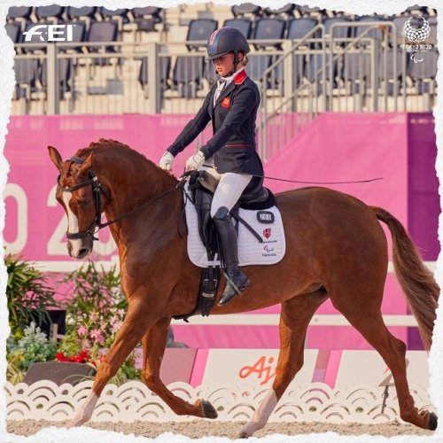 Video post from fei_global.