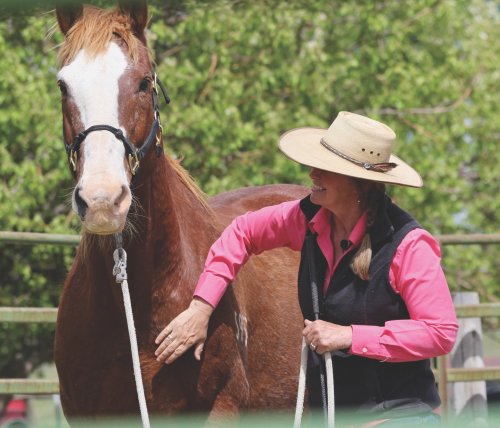 Photo post from taucktravel.