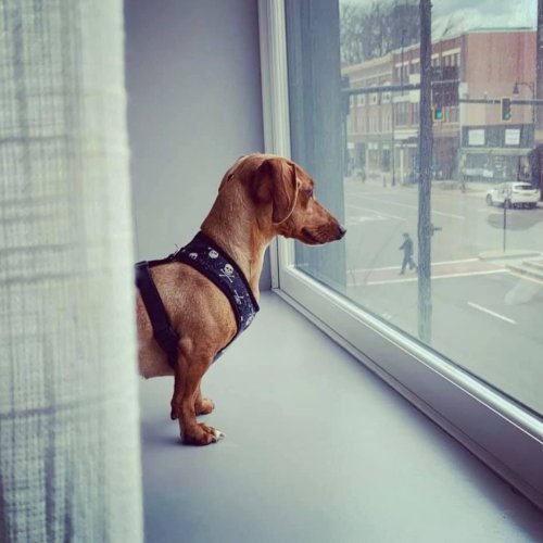 Photo post from hotelonnorth.