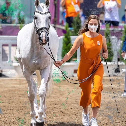 Video post from fei_global.