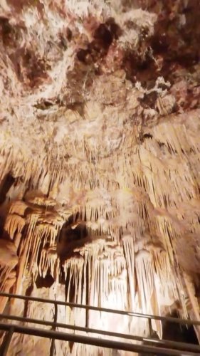 Video post from visittucson.