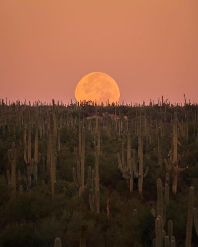Carousel post from visittucson.