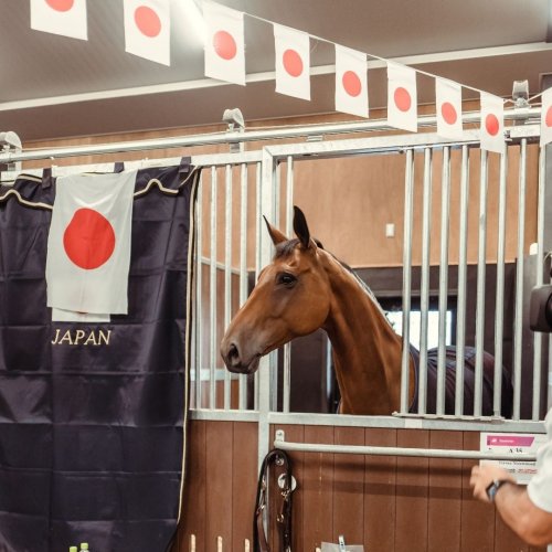 Carousel post from fei_global.