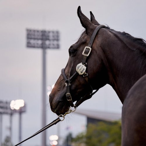 Carousel post from fei_global.