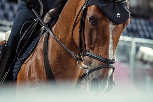 Carousel post from fei_global.