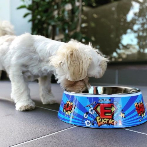 Photo post from furrypeeps.