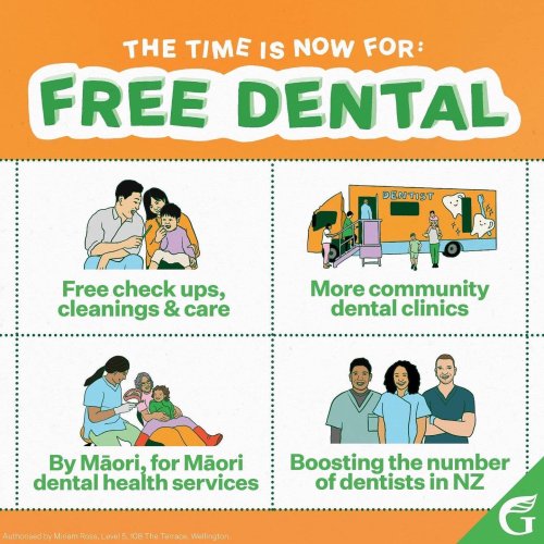 Photo post from nzgreenparty.