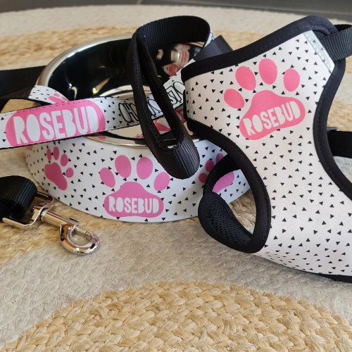 Photo post from furrypeeps.