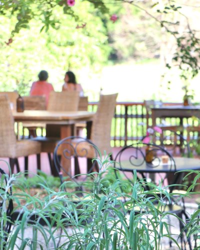Carousel post from currumbinvalleyharvest.
