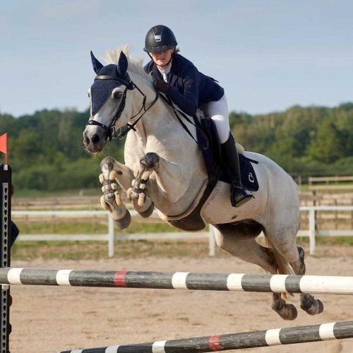 Carousel post from fei_global.