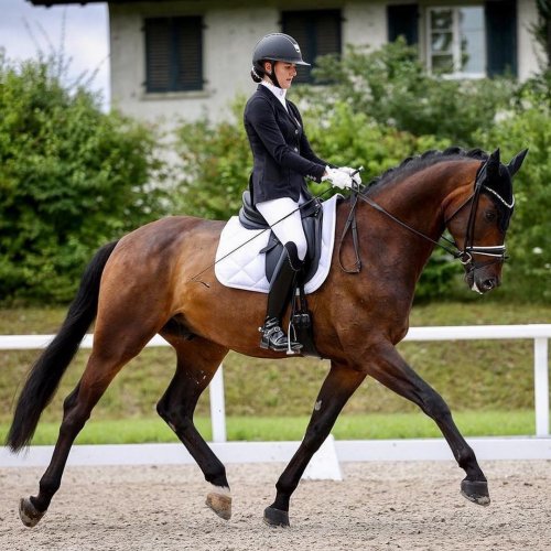 Carousel post from fei_global.