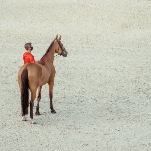 Photo post from fei_global.