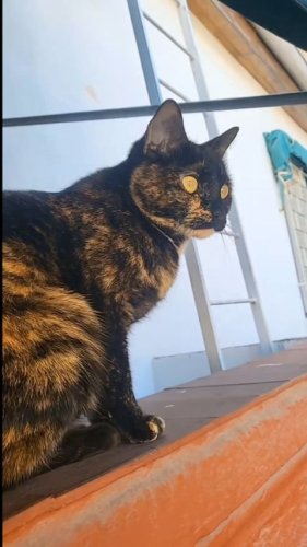 Video post from ira.martelo.