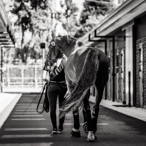 Carousel post from fei_global.