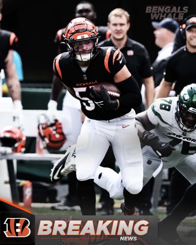 Bengals Signing LB Logan Wilson To Four-Year Extension Worth Up TO $37.25M  